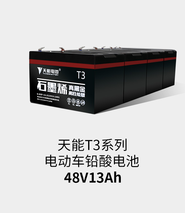 博一把网络交流平台T3系列48v13ah